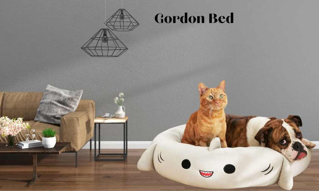 Gordon Shark Bed