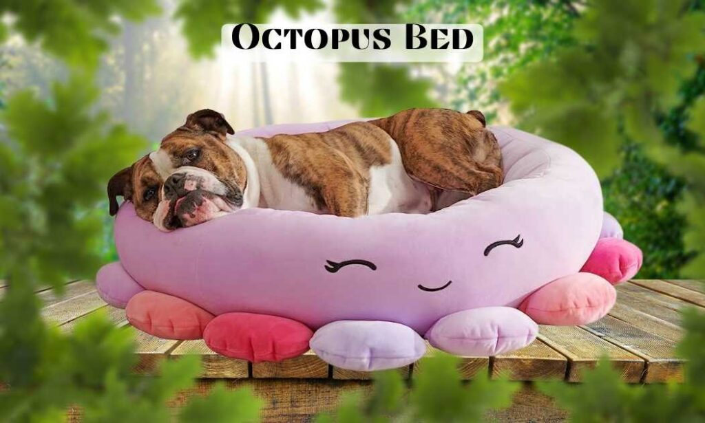 Octopus bed