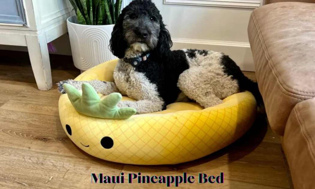 Maui Pineapple Bed
